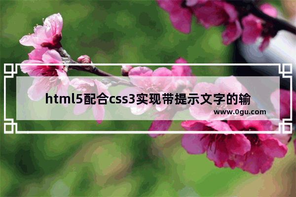 html5配合css3实现带提示文字的输入框(摆脱js)