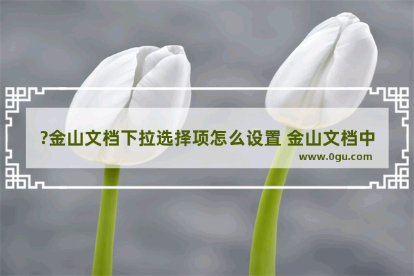 ?金山文档下拉选择项怎么设置 金山文档中创建下拉列表的方法教程