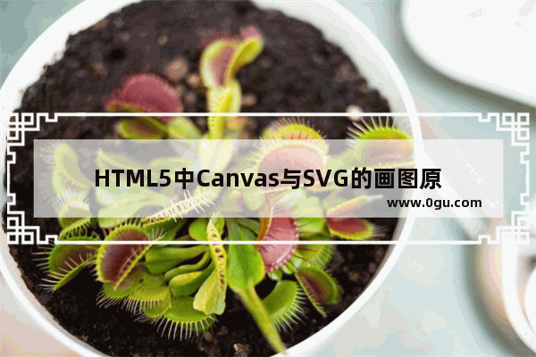 HTML5中Canvas与SVG的画图原理比较