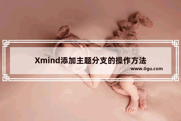 Xmind添加主题分支的操作方法