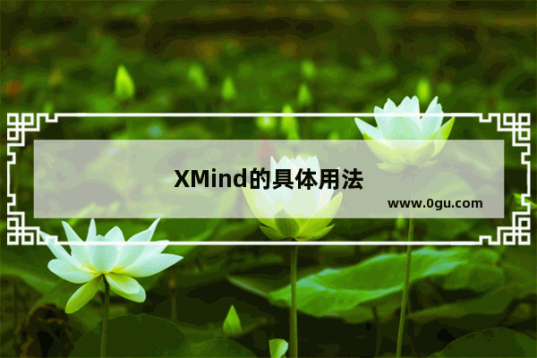 XMind的具体用法