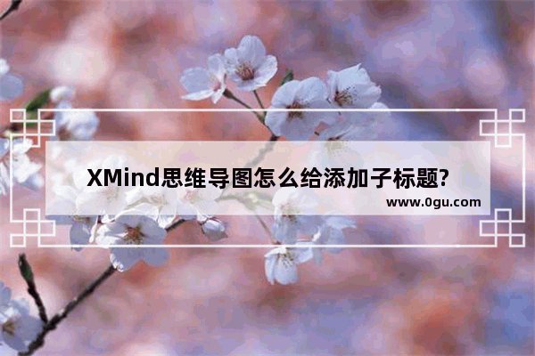 XMind思维导图怎么给添加子标题?