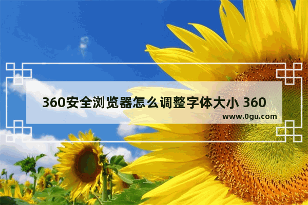 360安全浏览器怎么调整字体大小 360安全浏览器调整字体大小的方法