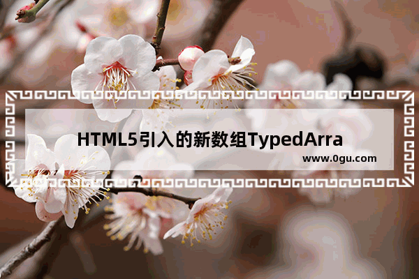 HTML5引入的新数组TypedArray介绍