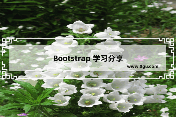 Bootstrap 学习分享