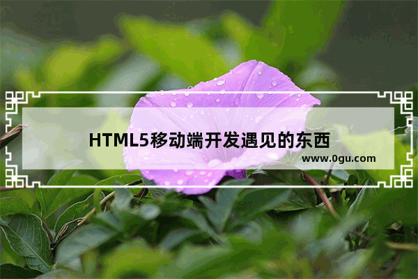 HTML5移动端开发遇见的东西