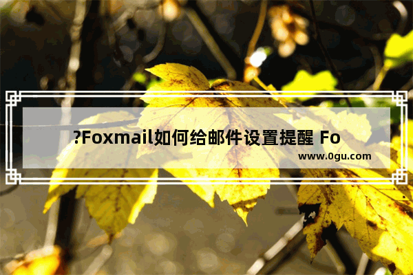 ?Foxmail如何给邮件设置提醒 Foxmail邮箱为待处理邮件设置提醒的方法教程