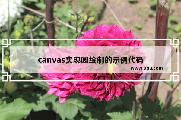 canvas实现圆绘制的示例代码