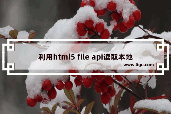 利用html5 file api读取本地文件示例(如图片、PDF等)