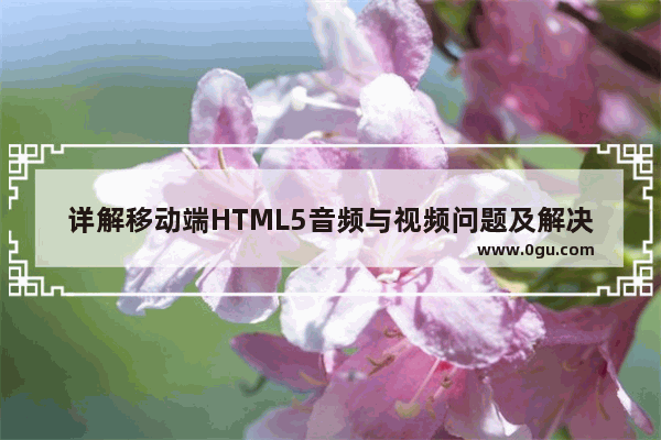 详解移动端HTML5音频与视频问题及解决方案