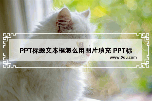 PPT标题文本框怎么用图片填充 PPT标题文本框用图片填充的方法