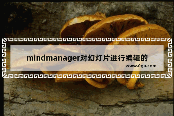 mindmanager对幻灯片进行编辑的操作步骤