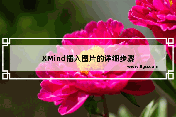 XMind插入图片的详细步骤