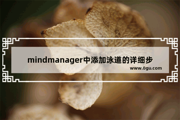 mindmanager中添加泳道的详细步骤