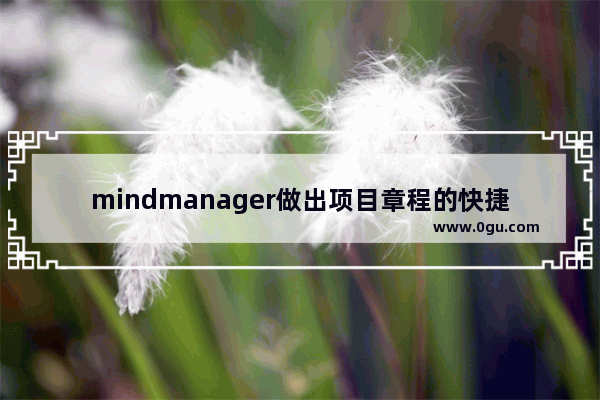 mindmanager做出项目章程的快捷方法介绍