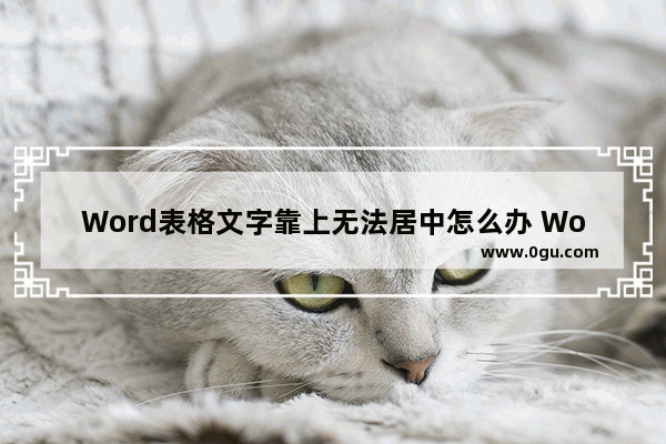 Word表格文字靠上无法居中怎么办 Word表格文字靠上无法居中的解决方法