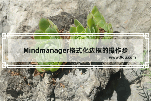 Mindmanager格式化边框的操作步骤