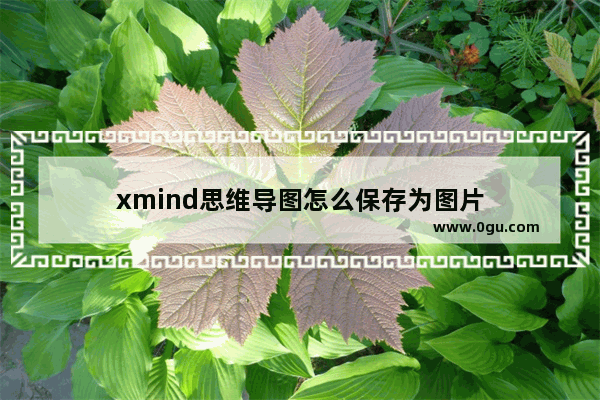 xmind思维导图怎么保存为图片