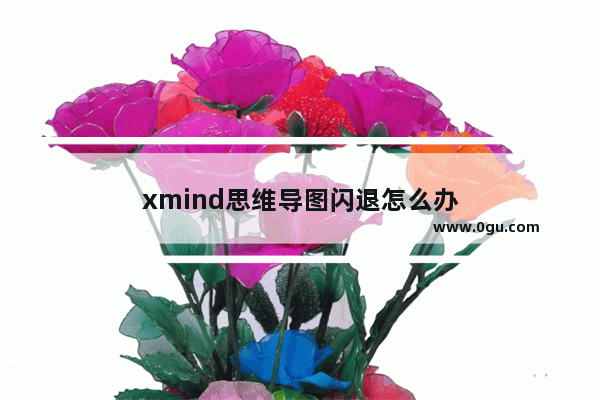 xmind思维导图闪退怎么办