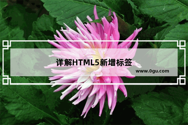 详解HTML5新增标签