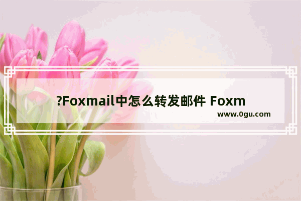 ?Foxmail中怎么转发邮件 Foxmail邮箱中转发邮件的方法教程