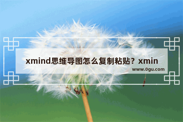 xmind思维导图怎么复制粘贴？xmind思维导图复制粘贴的操作流程介绍