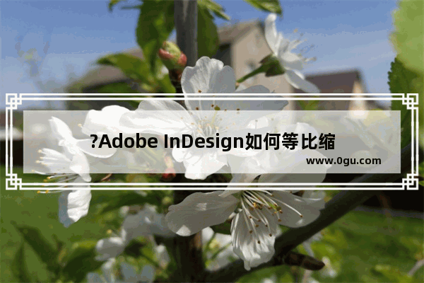 ?Adobe InDesign如何等比缩放图片 ?InDesign等比缩放图片的方法