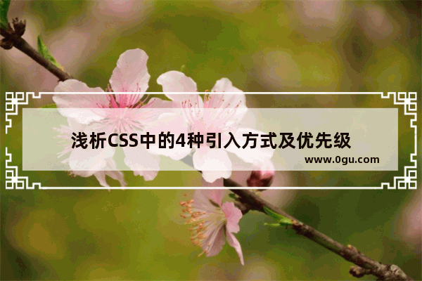 浅析CSS中的4种引入方式及优先级