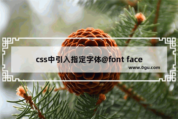 css中引入指定字体@font face兼容各浏览器的问题