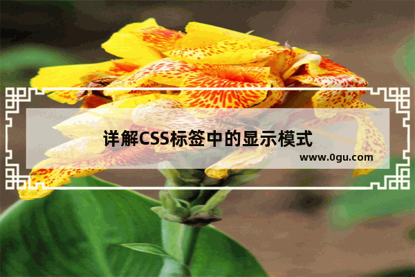 详解CSS标签中的显示模式