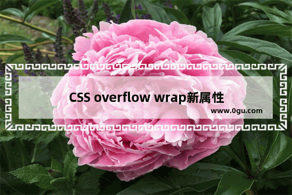 CSS overflow wrap新属性值anywhere 用法大全