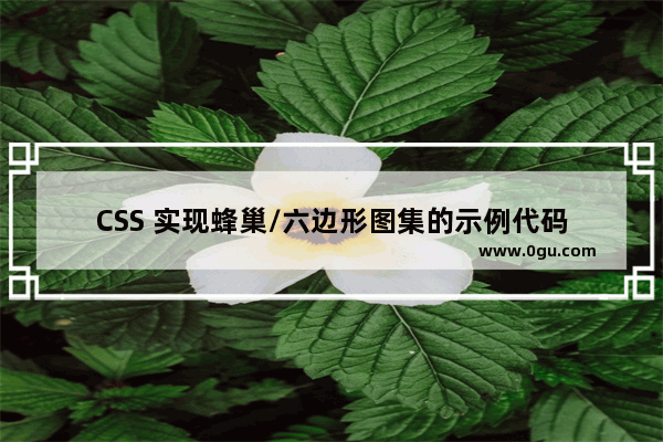 CSS 实现蜂巢/六边形图集的示例代码