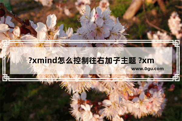 ?xmind怎么控制往右加子主题 ?xmind控制往右加子主题的方法