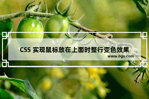 CSS 实现鼠标放在上面时整行变色效果