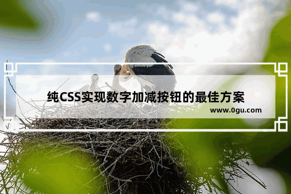 纯CSS实现数字加减按钮的最佳方案