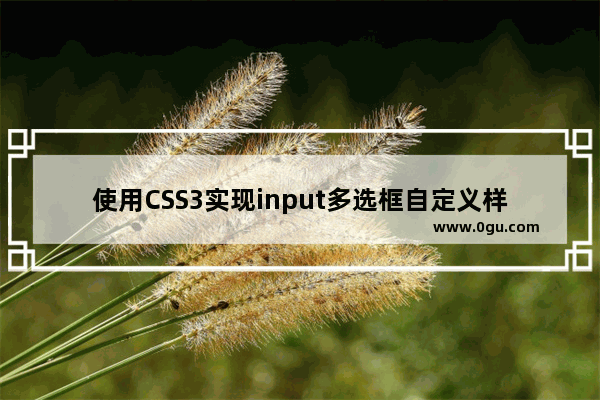 使用CSS3实现input多选框自定义样式的方法示例