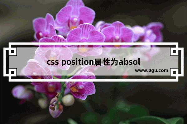 css position属性为absolute时其百分值的计算