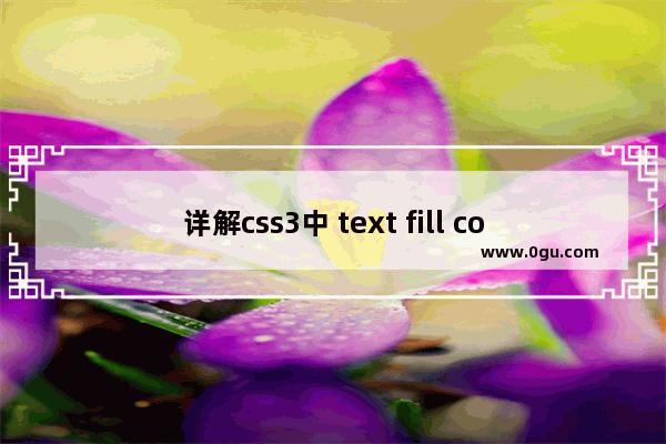 详解css3中 text fill color属性