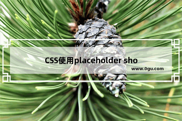 CSS使用placeholder shown伪类实现输入框浮动文字效果