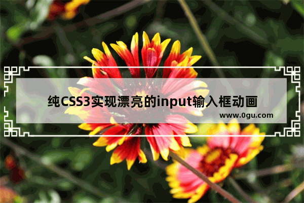 纯CSS3实现漂亮的input输入框动画样式库(Text input love)