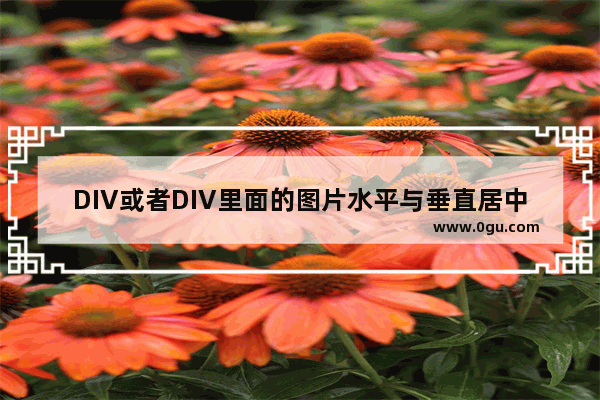 DIV或者DIV里面的图片水平与垂直居中的方法