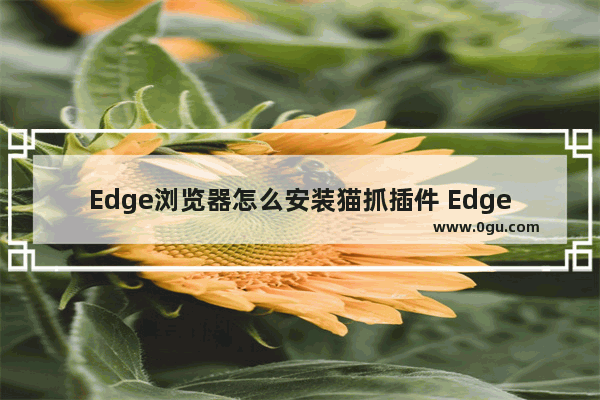 Edge浏览器怎么安装猫抓插件 Edge浏览器安装猫抓插件的方法