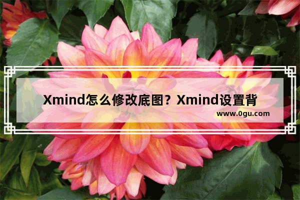 Xmind怎么修改底图？Xmind设置背景的方法