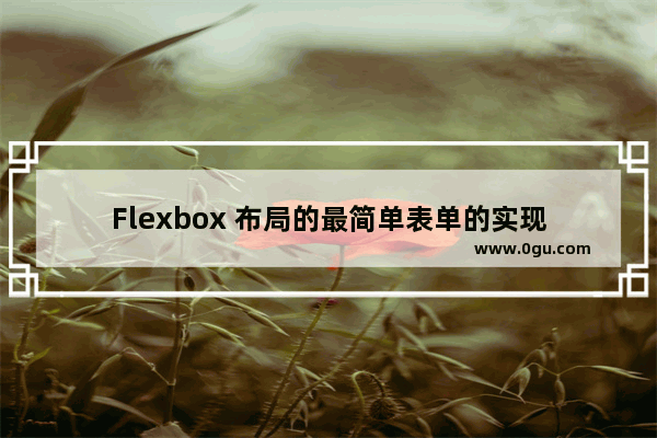 Flexbox 布局的最简单表单的实现