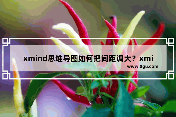 xmind思维导图如何把间距调大？xmind思维导图把间距调大的操作方法