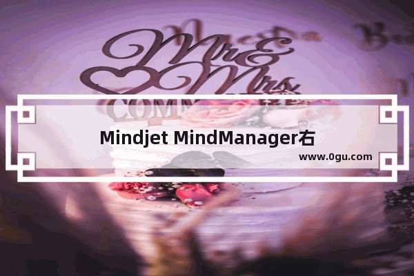 Mindjet MindManager右向导图设置教程介绍