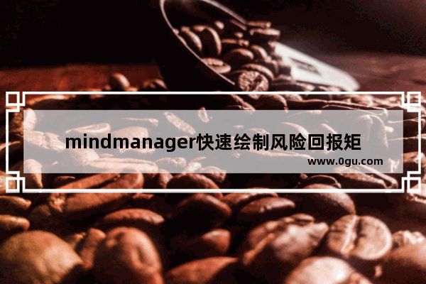 mindmanager快速绘制风险回报矩阵图的操作教程