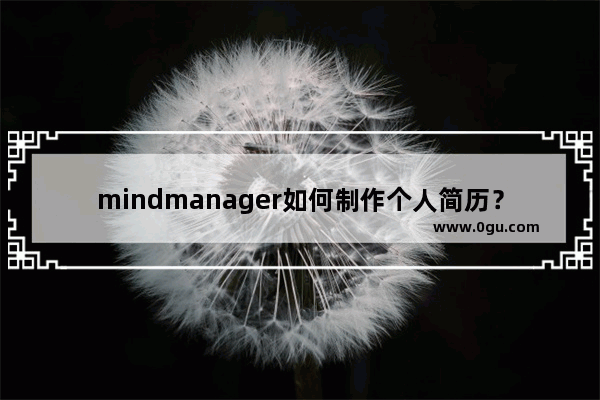 mindmanager如何制作个人简历？mindmanager制作个人简历的方法步骤