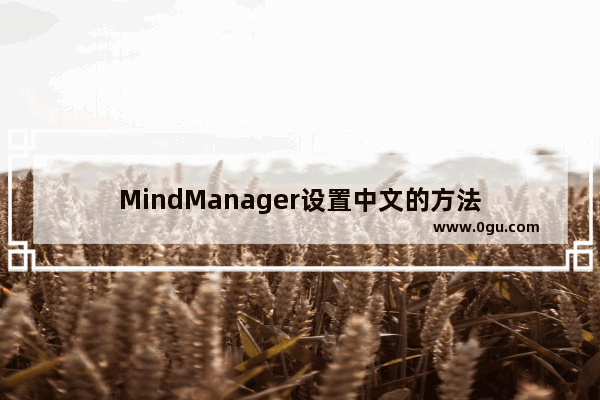 MindManager设置中文的方法