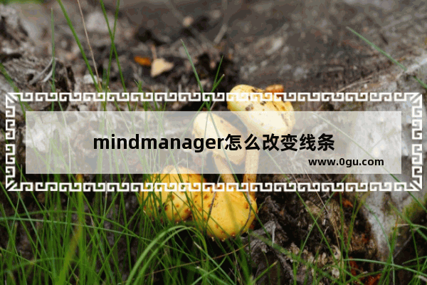 mindmanager怎么改变线条